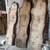 Pin Oak Live Edge Slabs - 50% Off November Sale 2 thumbnail