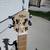 Cute Travel Electric Guitar & Case - Small Body w/ Full Size Fretboard 5 thumbnail