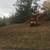 upBrush clearing/blackberry mulching / driveways /demo 13 thumbnail