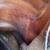 Hunting/outdoors boots, men's 11 women's 7, LL Bean, Orvis, more 14 thumbnail
