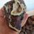 Fossils, Llanite, Artifacts 7 thumbnail