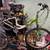 BIKES BIKES BIKES--ALL FULLY RECONDITONED LIKE NEW 3 thumbnail