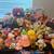Stuff animals 6 thumbnail
