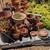 Low Maint. Plants/Plant Pots 7 thumbnail