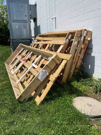 Wood from Glass Crates / craft or firewood 1