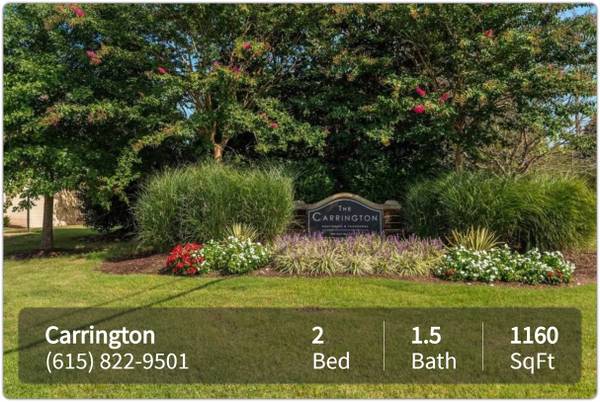 $1,445 / 2br - 1160ft2 - Ready to lease! 2 bed 1.5 bath home. Check us out! (Hendersonville)63680375284611122