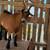 Rehoming goats 5 thumbnail
