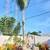 `☆`Stump Grinding`☆` Palms Trimming `☆` Tree Removed `☆` Tree Trimming 12 thumbnail