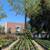 Olive Tree 9 thumbnail