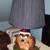 taz lamp 3 thumbnail