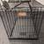 Dog Kennel i Crate large for sale 2 thumbnail