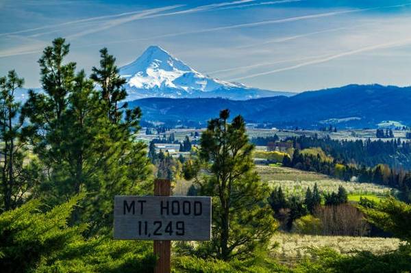$1,163 / 1br - 1 BD, Ubicado en Portland, Área para Barbacoa/Área de Picnic (7531 SE Steele St, Portland, OR)63820681593601122