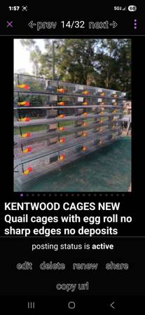 Quality rabbit or egg roll quail cageing. NO WOOD IT HOLDS PARASITES 1