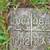 Burial plot 6 thumbnail