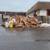 FULL DEMOLITION & GUTT OUT/JUNK & GARBAGE REMOVAL”631 707-4313” 8 thumbnail