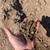 Bulk Top Soil-landscaping materials 1 thumbnail