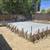 Concrete work 1 thumbnail