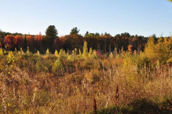$2,515 / 2br - 875ft2 - Disability Access, In-Unit Washer/Dryer, Cable Ready (42 Wolf Rd, Lebanon, NH, USA, Lebanon, NH)63932055467395123
