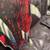 Surfboards  ODYSEA 5’6” x 21.0” x 2.875” (42 Liters) 10 thumbnail