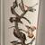 AUDUBON'S BIRDS OF AMERICA BOOK 6 thumbnail