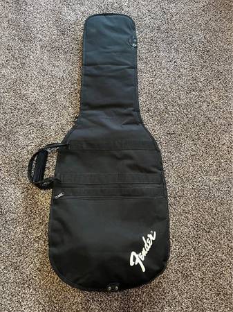 Padded gig bag 1