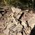 Flagstone 3 thumbnail
