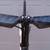 SPECIALIZED Allez Sprint Track Fixie Fixed Bike + Aerofly Carbon Bars 12 thumbnail