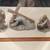 VALENCIA figurine Collection by Roman 2 thumbnail