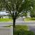 Cozy 2 Bed 1.5 Bath Townhome - NE Rochester 12 thumbnail