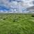 30 Acres in north Bakersfield for sale or lease - Seller Finance 17 thumbnail