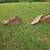 2 John Deere 550 excavator buckets 1 thumbnail