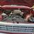 1983 dodge 150 10 thumbnail