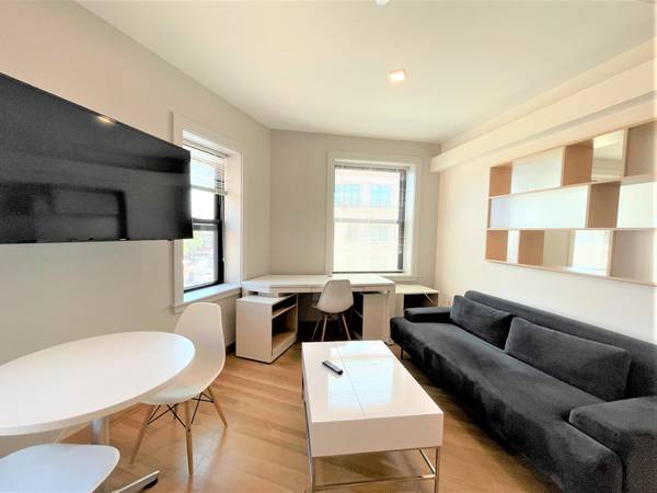 $3,300 / 1br - 456ft2 - Renovated unit right in Harvard ✨IN UNIT LAUNDRY✨pets ok 🐶😺 (Cambridge \ Harvard Sq. \ Harvard Sq.)63996547535491123