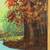 c1980 Autumn Forest River Oil Painting by Cal. Artist Suzanne Powell 5 thumbnail