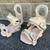 Arbor Sequoia snowboard bindings WOMEN'S MEDIUM / LARGE peach 2 thumbnail