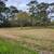 LAND/1 ACRE LOT HANKAMER TEXAS 4 thumbnail