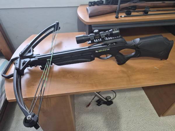 Crossbow 1