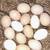 Duck and chicken hatching eggs 2 thumbnail