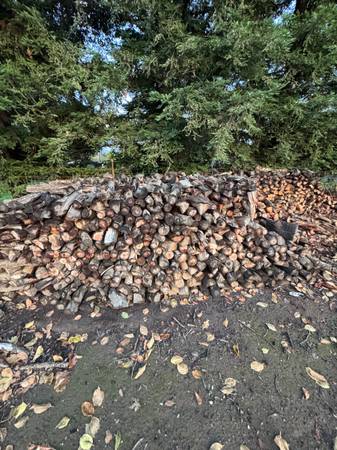 1cord of almond wood Free delivery 1