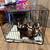 Puppy Cage 1 thumbnail
