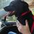10 year old neutered male Lab Mix 1 thumbnail