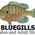 Bluegill Juveniles 1 thumbnail