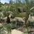 Landscaping 15 thumbnail