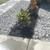 LANDSCAPING IN FREE ESTIMATES 15 thumbnail
