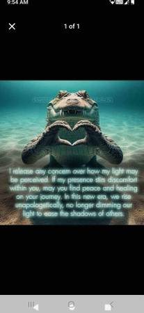 Free metal pick up 1