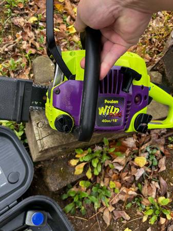 Wild thing chainsaw 1
