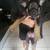 German Shepard puppies 2 thumbnail