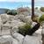 NEW POOL MATERIALS FOR SALE LANDSCAPE  AND PAVERS FOR SALE 19 thumbnail