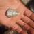 **Arrowheads and Artifacts** 19 thumbnail