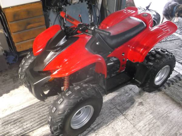 2008 Bombardier DS90 1